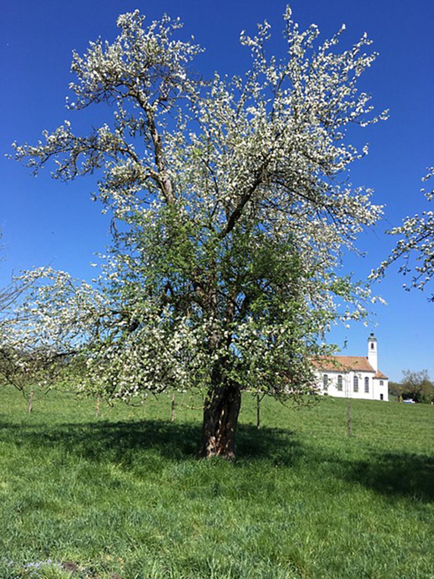 Aich21 Lägenhet Peißenberg Exteriör bild