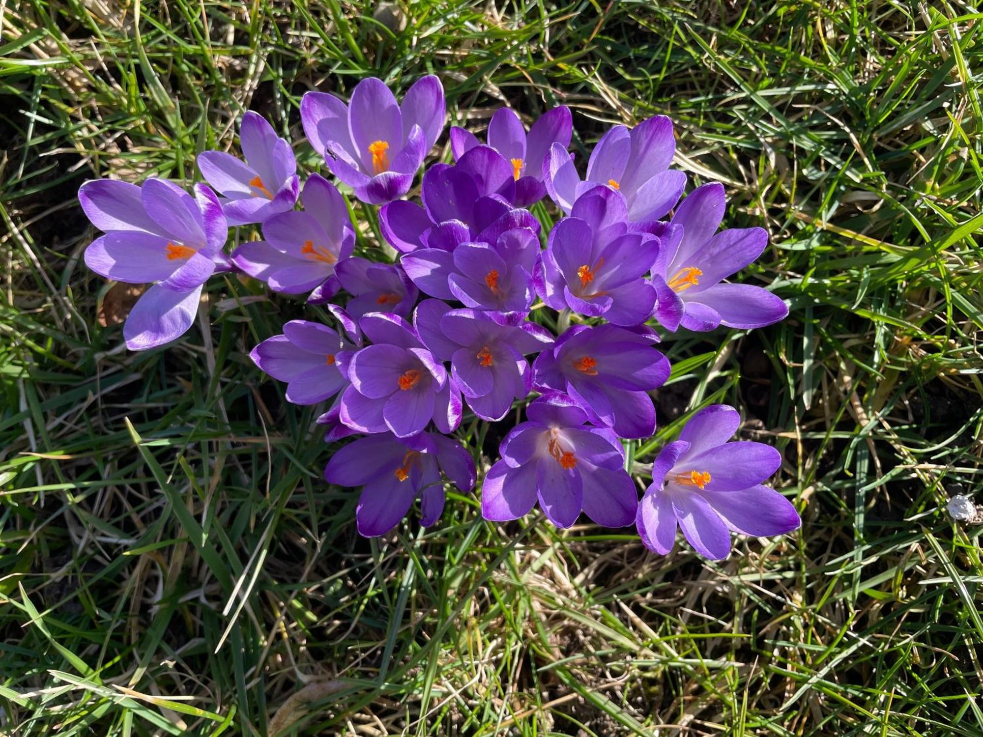 Aich21 Lägenhet Peißenberg Exteriör bild